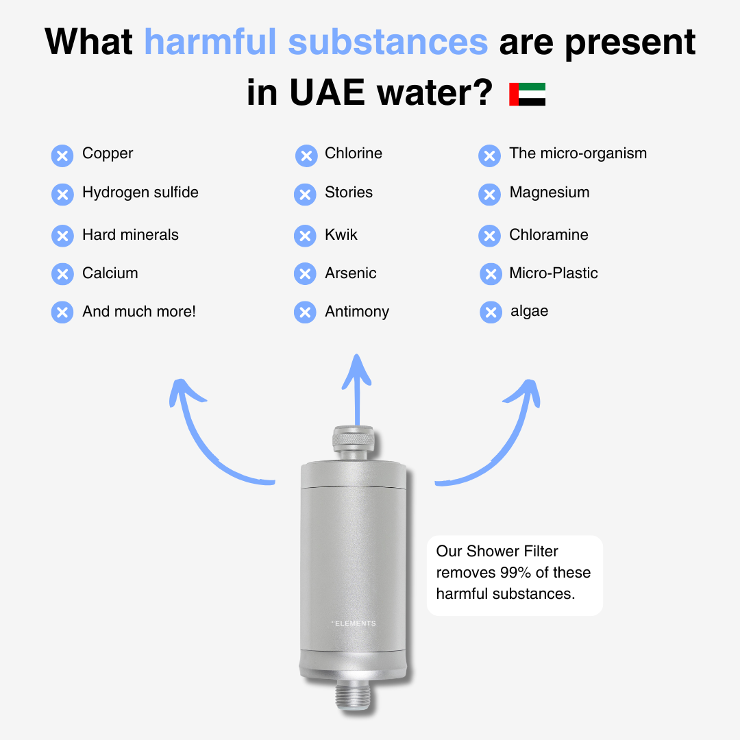Shower Filter 2.0 UAE